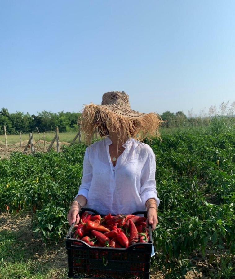 Agroturizem Gjepali Hotel Shijak Kültér fotó